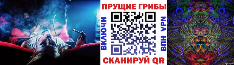 OMG ссылки  Щучье  Галлюциногенные грибы GOLDEN TEACHER 